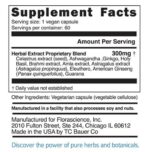 Cognihance supplement facts panel for kava