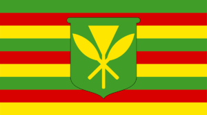 Native Hawaii Flag